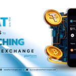 What Are the First Steps to Launching a Crypto Exchange Platform? 3 What Are the First Steps to Launching a Crypto Exchange Platform?