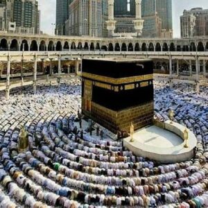 خدمات النقل الحديثة التي توفرها باصات مكة والمدينة 103 خدمات النقل الحديثة التي توفرها باصات مكة والمدينة