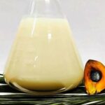 Palm Stearin Price Trend: A Practical Guide to Market Movements, Global Demand, Price Drivers, and Future Outlook