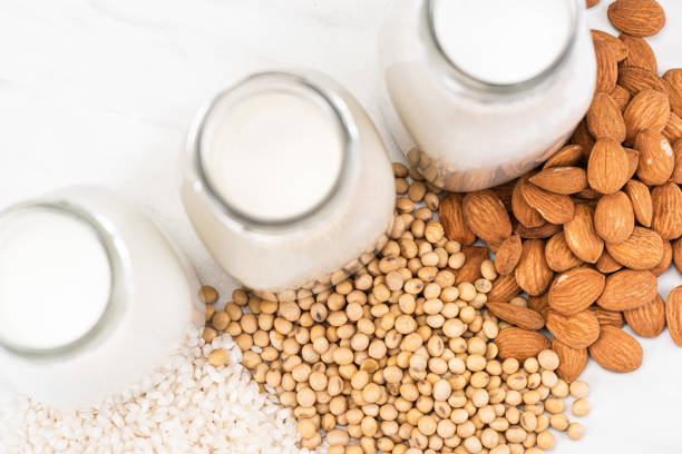 Canadas food industry