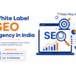 What Are the Benefits of Hiring a White Label SEO Agency in India?