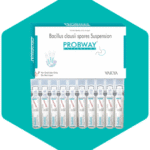 Bacillus clausii Manufacturers in India – Your Trusted Partner for High-Quality Probiotic Solutions