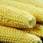 Corn Price trend
