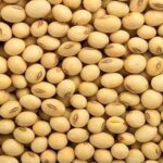 Soybean Price Trend: A Complete Guide to Market Movements, Supply, Demand, and Future Price Outlook