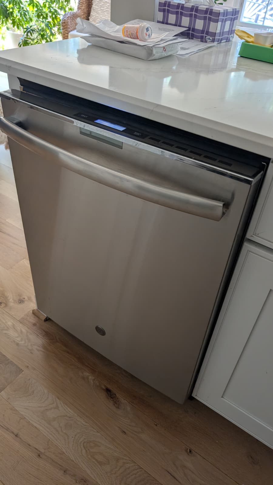 Pic 19