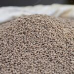 Diammonium Phosphate Price Trend