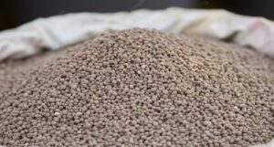 Diammonium Phosphate Price Trend | Global Market Insights, Supply, Demand, and Future Outlook for Buyers