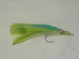 How to Choose the Best Saltwater Fishing Flies in Kenya for Better Catch Rates 1 How to Choose the Best Saltwater Fishing Flies in Kenya for Better Catch Rates