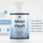 Mind Vault 6 1
