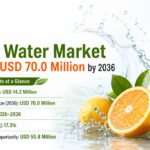 Citrus Water Market