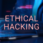 How to Perform Basic Vulnerability Assessments? 3 How to Perform Basic Vulnerability Assessments?