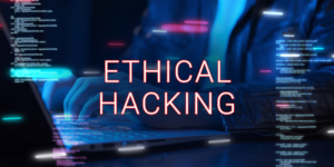 How to Perform Basic Vulnerability Assessments? 1 How to Perform Basic Vulnerability Assessments?