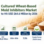 Cultured Wheat-Based Mold Inhibitors Market to Hit USD 264.6 Million by 2036 3 Cultured Wheat-Based Mold Inhibitors Market to Hit USD 264.6 Million by 2036