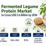 Fermented Legume Protein Market to Cross USD 3.6 Billion by 2036 3 Fermented Legume Protein Market to Cross USD 3.6 Billion by 2036