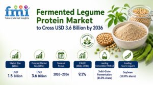 Fermented Legume Protein Market to Cross USD 3.6 Billion by 2036 1 Fermented Legume Protein Market to Cross USD 3.6 Billion by 2036