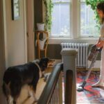 young woman vacuuming apartment with dog 1296x728 header 1