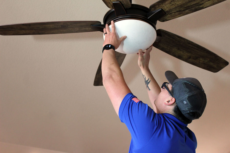 ceiling fans wirenut