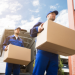 Go Logistics Makes Next-Day Delivery Canada Simple, Fast, and Reliable 3 Go Logistics Makes Next-Day Delivery Canada Simple, Fast, and Reliable