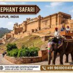 The Ultimate Guide to the Amer Elephant Safari in Jaipur