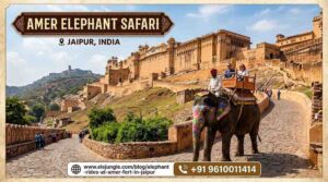 The Ultimate Guide to the Amer Elephant Safari in Jaipur 1 The Ultimate Guide to the Amer Elephant Safari in Jaipur