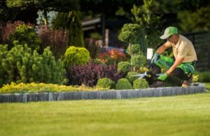 What Are the Benefits of Hiring Lawn Care Services in Boiling Springs for Residential and Commercial Properties? 1 What Are the Benefits of Hiring Lawn Care Services in Boiling Springs for Residential and Commercial Properties?