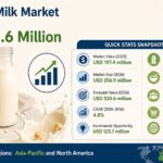Chickpea Milk Market
