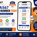 The Role of Digital Chart Systems in Creating Better Online Information Experiences 3 The Role of Digital Chart Systems in Creating Better Online Information Experiences