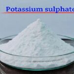 Potassium Sulfate Price Trend: Global Market Insights, Demand Analysis, and Future Price Outlook