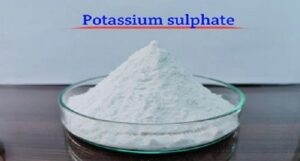 Potassium Sulfate Price Trend: Global Market Insights, Demand Analysis, and Future Price Outlook 1 Potassium Sulfate Price Trend: Global Market Insights, Demand Analysis, and Future Price Outlook