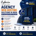Agency Web Hosting Solutions in India