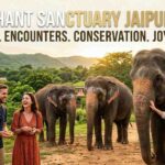 Elephant Sanctuary Jaipur 2