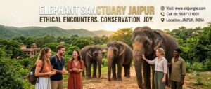 Experience Magic: A Day at a Certified Elephant Sanctuary 1 Experience Magic: A Day at a Certified Elephant Sanctuary