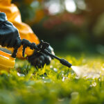 Could Residential Spider Treatment Be the Permanent Solution to Spider Problems?