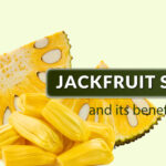 Are Jackfruit Seeds Good for Diabetes Patients?