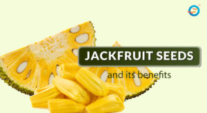 Are Jackfruit Seeds Good for Diabetes Patients?