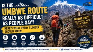 Is the Umbwe Route Really as Difficult as People Say? Here's What Every Climber Should Know 1 Is the Umbwe Route Really as Difficult as People Say? Here’s What Every Climber Should Know