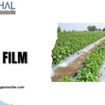 Smart Solutions with Mulch Film for Weed Control Success