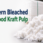 Northern Bleached Softwood Kraft Pulp price trend