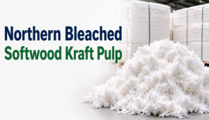 Northern Bleached Softwood Kraft Pulp Price Trend: Market Analysis, Demand Insights, and Future Outlook