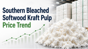 Southern Bleached Softwood Kraft Pulp Price Trend: Market Analysis, Price Insights, and Future Outlook 1 Southern Bleached Softwood Kraft Pulp Price Trend: Market Analysis, Price Insights, and Future Outlook