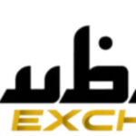 Dubaiexch247 logo 1