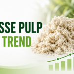 Bagasse Pulp Price Trend
