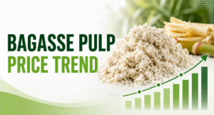 Bagasse Pulp Price Trend: Market Insights, Demand Analysis, and Future Price Outlook