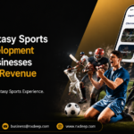 How Fantasy Sports App Development Helps Businesses Increase Revenue 2