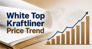 White Top Kraftliner Price Trend: Market Insights, Demand Analysis, and Future Price Outlook 1 White Top Kraftliner Price Trend: Market Insights, Demand Analysis, and Future Price Outlook