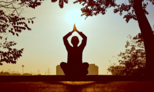 How Spiritual Organisations in India Are Shaping Conscious Living? 1 How Spiritual Organisations in India Are Shaping Conscious Living?
