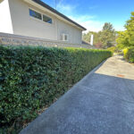 Hedging