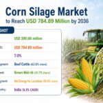 Corn Silage Market
