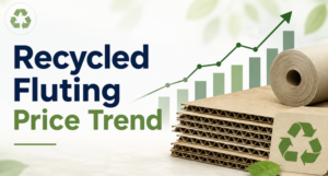 Recycled Fluting Price Trend: A Complete Guide to Market Movement, Pricing Factors, and Future Outlook