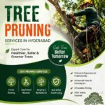 Tree Pruning Services in Hyderabad: Why Regular Pruning Keeps Your Trees Healthy and Safe